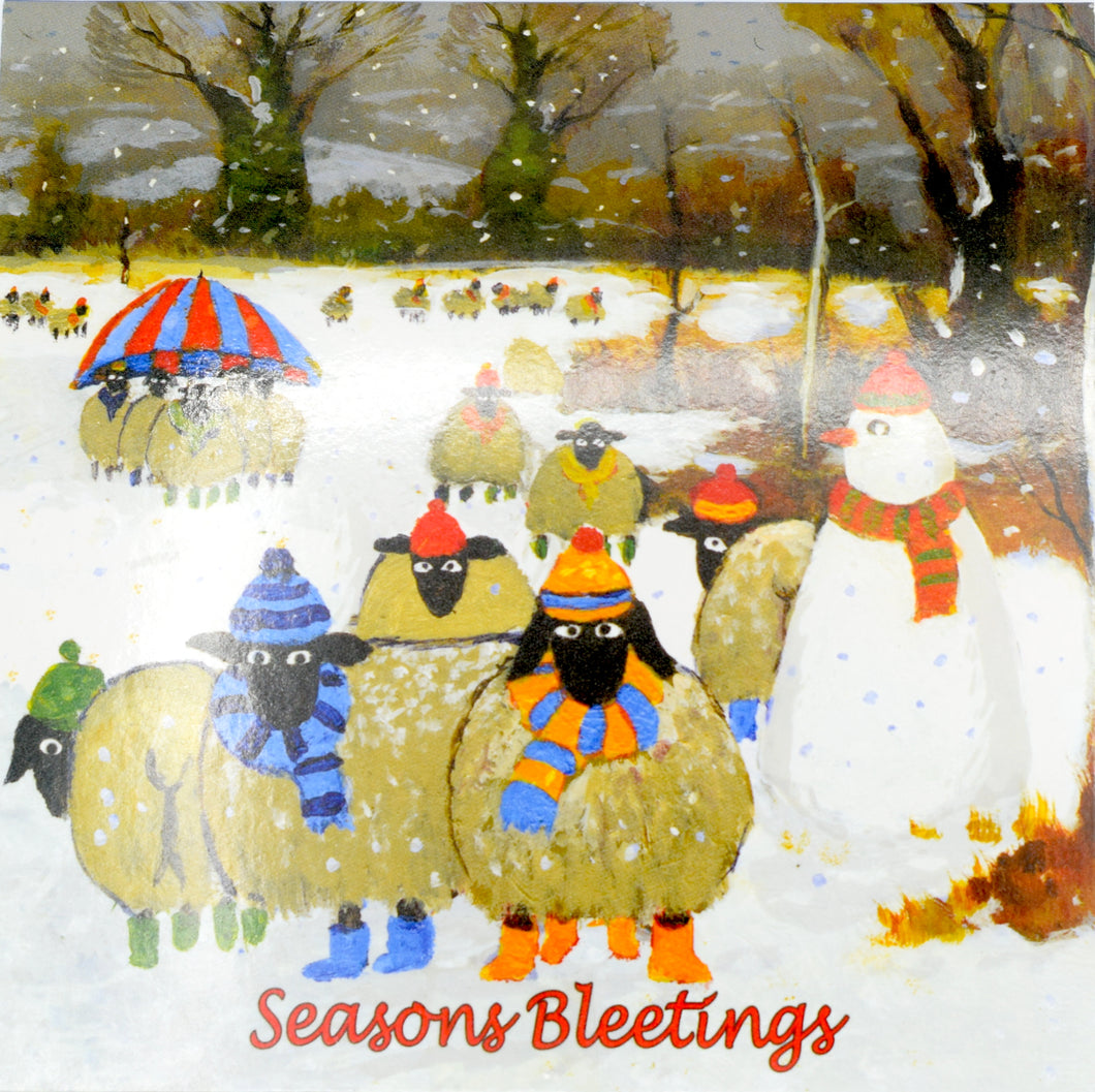 Ewe Christmas Card set