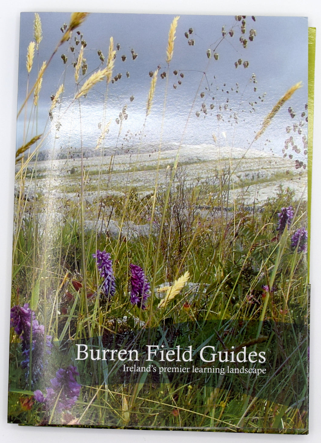 Burren Field Guides