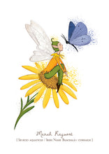 Burren Flower Fairies - Flower Cards