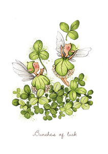 Burren Fairly Flower - Wishes Cards