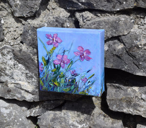 Burren Flowers Oil paintings