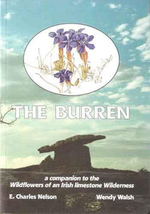 The Burren